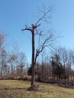 IMG_20210224_101547.jpg