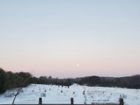 20210227_063707.jpg