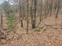20201227_120536.jpg