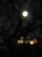 DA4A0EFB-CA60-47D1-8BAF-EAED2D7BE38E.jpeg