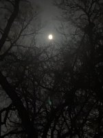8902D301-35B8-46E8-9DC1-38C7533D2209.jpeg
