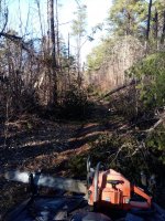 IMG_20210306_162907.jpg