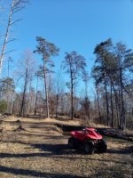 IMG_20210306_163328.jpg