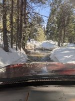 PXL_20210306_205319380.jpg