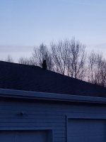 20210308_055707.jpg