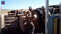 89020172-713F-4F26-8F37-6BFEC55E8CC3.gif