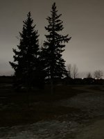 2D669FBF-B96C-45E7-ACDB-09701C467857.jpeg
