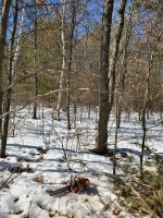 20210306_120916.jpg