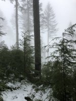 60818EFC-1587-481F-8DFF-5F0B2DBB3370.jpeg