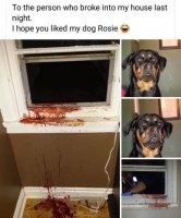 7F8F745C-F136-4C2E-93A5-BEC9B30D6D9F.jpeg