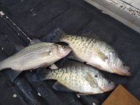 IMG_20210312_163451.jpg