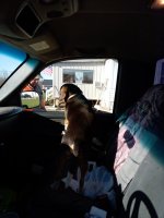 IMG_20210319_172423.jpg