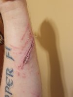 20210321_080620.jpg 20210321_080620.jpg