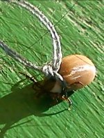 DSC05083-1.JPG