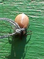 DSC05082-1.JPG