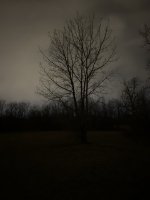 98614B49-489F-4E6C-804D-EBCED6557467.jpeg