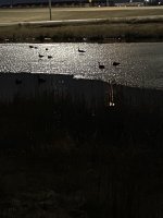 E2703BE9-8F65-4C93-8F42-EF2BBBD588C3.jpeg