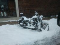 IMG_20210209_173152418.jpg