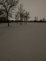 09E3D47A-F9D0-46B4-BD0C-2AB6FBBF0A63.jpeg