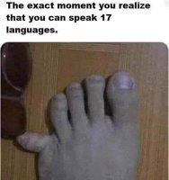 2FBD5E0C-6C7C-4CA5-854C-E5B6DC8AE53A.jpeg