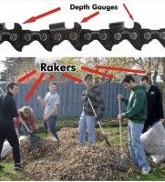 Depth Gauges Versus Rakers.jpg