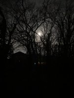 C7508BBF-733F-456A-8A4B-49DE9A3C7314.jpeg