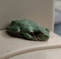 IMG_20180906_104856.jpg
