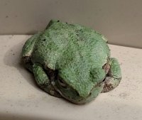 IMG_20180906_104913.jpg