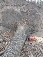 IMG_20210330_175951.jpg
