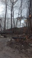 IMG_20210401_083815915.jpg