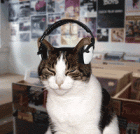 41178f44e346afc17f28a8c40420a65d.gif