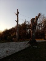IMG_20210403_193117.jpg