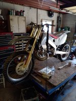 IMG_20210404_152907.jpg