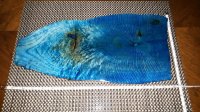 20160801_200616.jpg