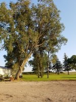 20160803_192601.1.jpg