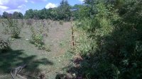 WP_20160807_001.jpg