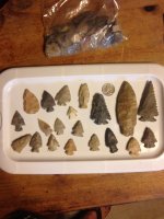 image.jpeg image.jpeg