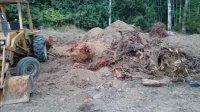 stumps backhoe 085.JPG