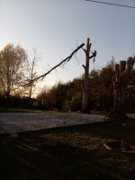 IMG_20210403_191439.jpg