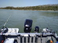IMG_20210327_111228.jpg
