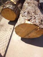 IMG_20210408_145640_210.jpg