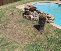 46F70839-7188-4F34-B03E-F09FEB2FF498.jpeg