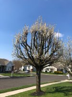 IMG_00841.jpg