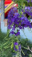 942D1A7D-8A57-43DD-AB1B-D3634FDCC88B.jpeg