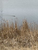 827938DE-2355-47D2-898D-92C0D0C1106A.jpeg