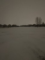 9909E544-BA50-4221-879D-18114E30AEFA.jpeg