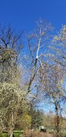 20210413_102743.jpg