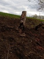 IMG_20210416_181718.jpg