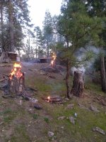 IMG_20210416_193525713.jpg