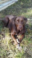20170813_094850.jpg